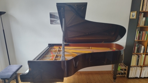 Steinway & Sons – Flügel Modell B - 211